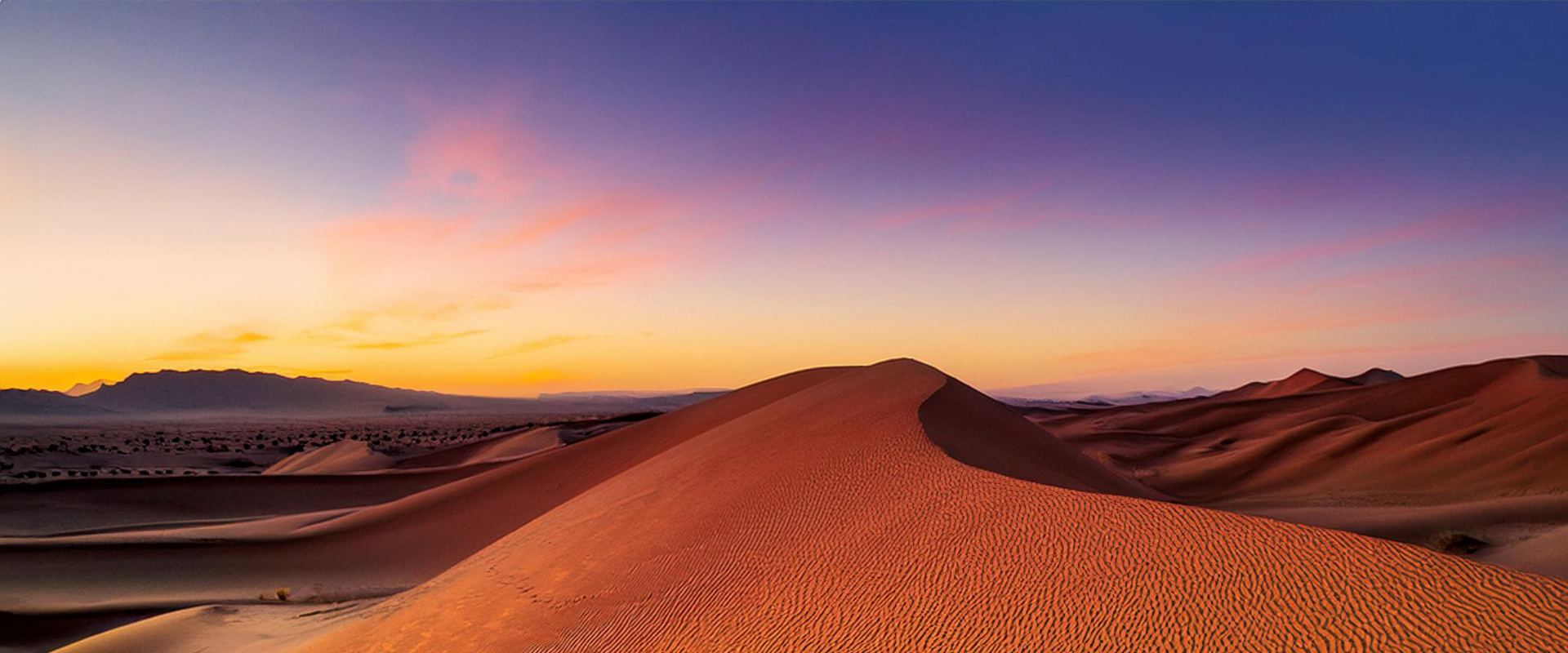 Looking Through the Noise in Health Care