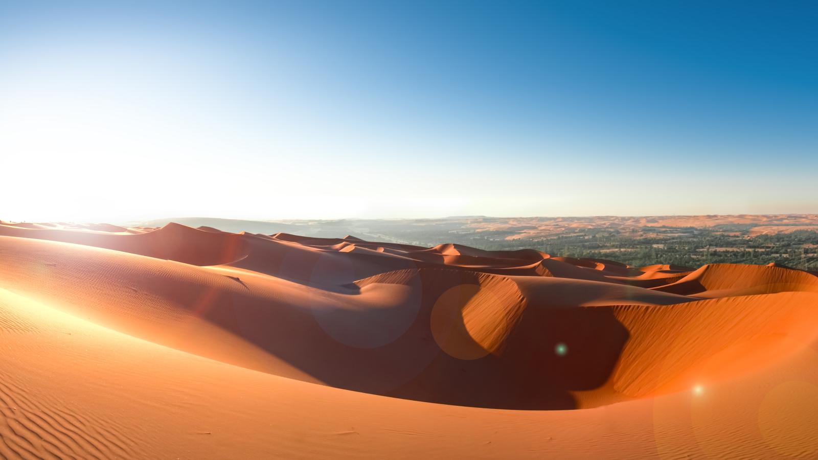 U.S. Large-Cap Sustainable Growth Strategy