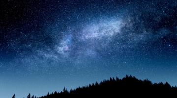 Brown Advisory Managed Sustainable Fixed Income 