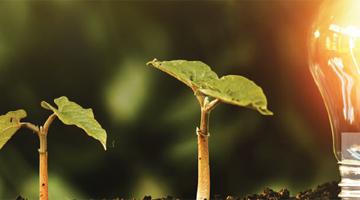 Sustainable Sovereigns: Integrating Sustainable Investment Analysis into Government Debt Research 